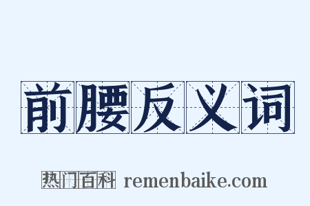 前腰反义词是什么意思的图片